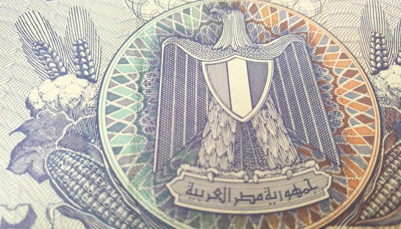 Egyptian pound5