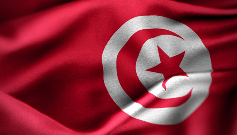 Tunisian flag billowing