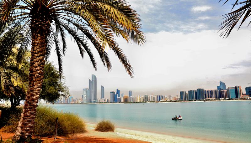abu dhabi palmtree