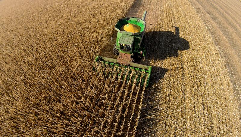 grain