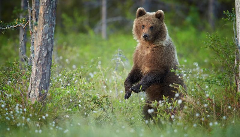 shutterstock_3415971891