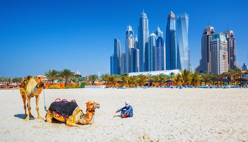 shutterstock_1011862075