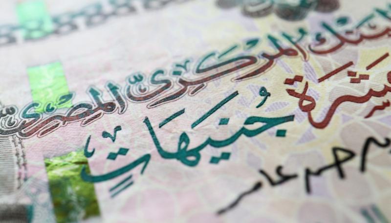 shutterstock_1143148625