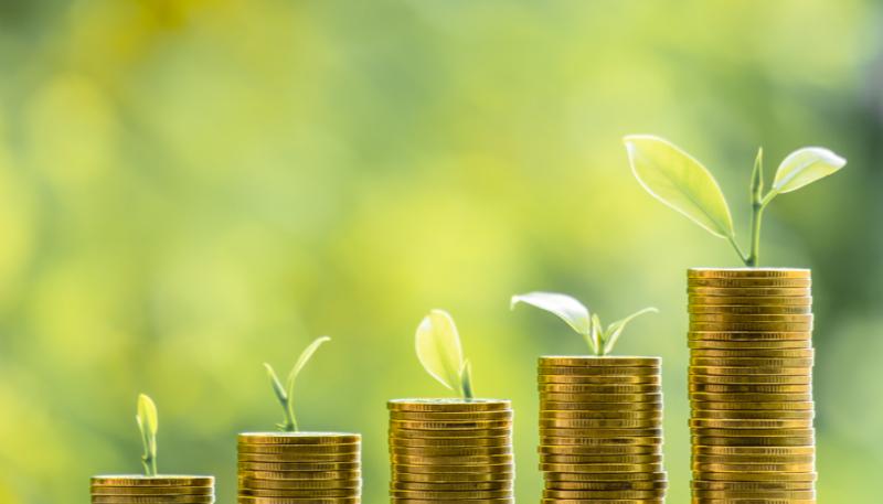 shutterstock_1536940751