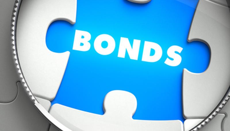 shutterstock_2841449272