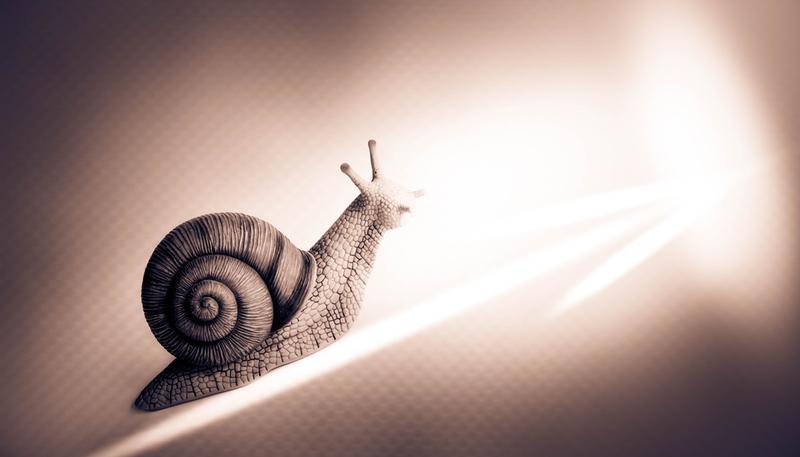 shutterstock_4005221621