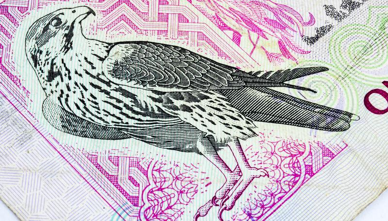 shutterstock_613406153